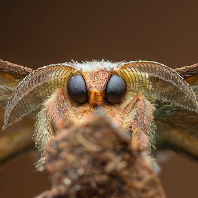 outofspace@berlin.social