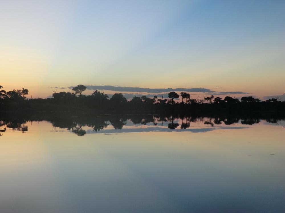 Header Image