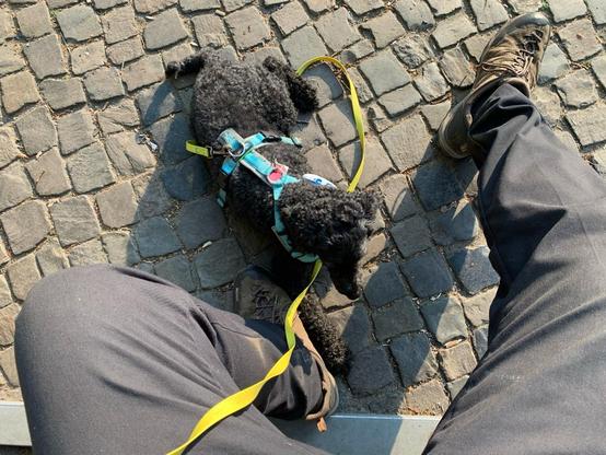 frida: entspannt