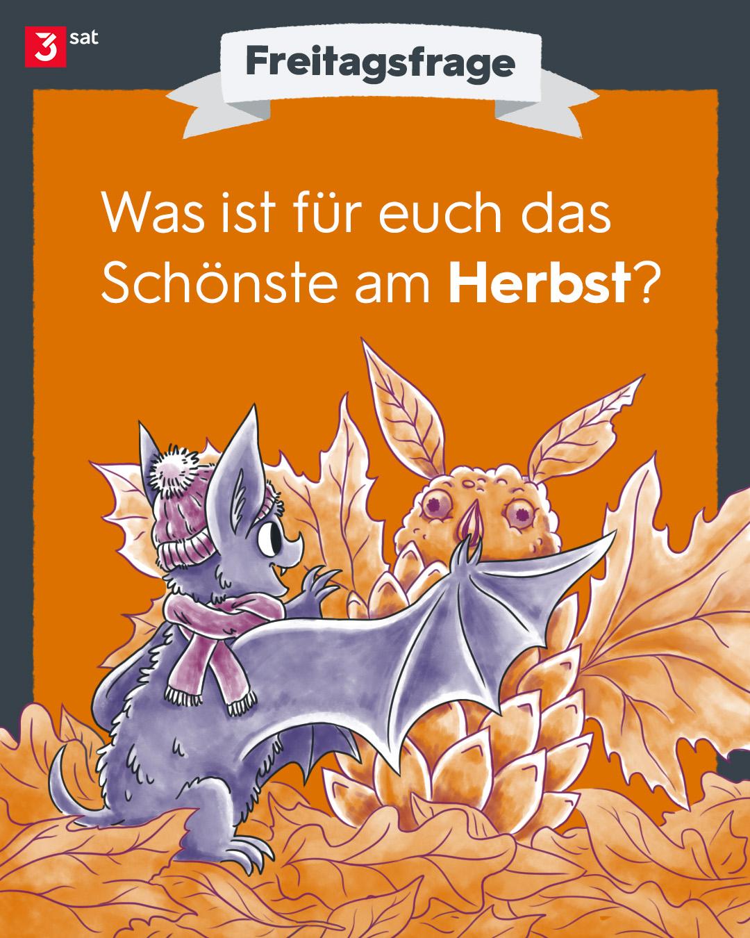 https://media-proxy.berlin.social/cache/media_attachments/files/117/251/113/194/470/414/original/4fa5bb6ce4b5a377.jpg
