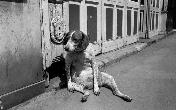 <p><em>Photo by Richard Kalvar/Magnum</em></p>