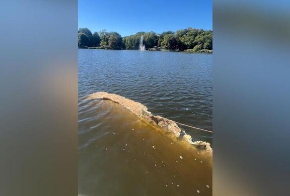 Ein schwimmendes Mysterium sorgt für Gesprächsstoff