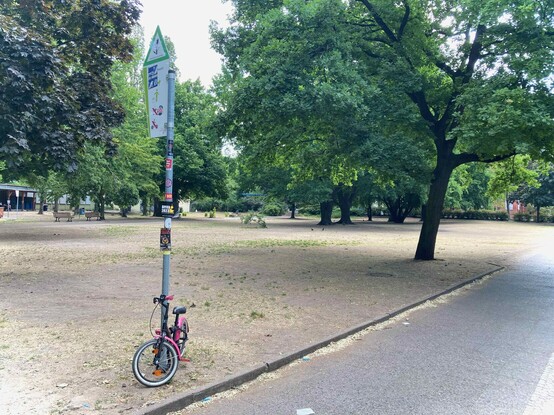 Park. Kahler Boden mit vereinzelten, vertrockneten Grashalmen und wenigen grünen Grasbüscheln. Grüne Bäume. Im Vordergrund ein Schild für „Geschützte Grünanlage“. Daran angelehnt: ein rosa Kinderfahrrad.