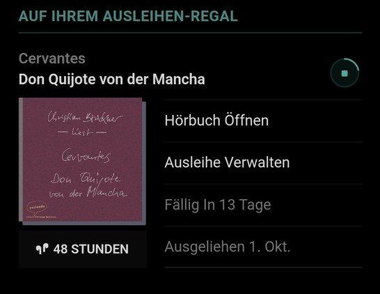 Don Quijote. Hörbuch 48 Stunden in 13 Tagen 
