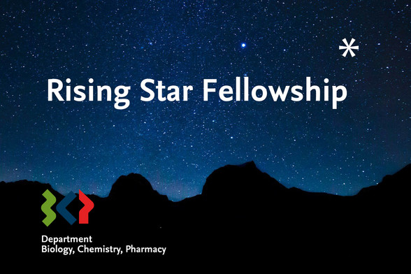 Sternenhimmel mit Schriftzug "Rising Star Fellowship"