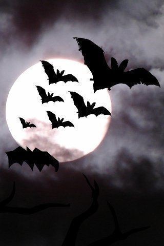 Painting of bats flying through the cloudy sky, in front of a huge moon. 