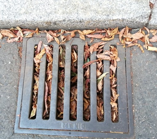 Ein Gully, der bis oben hin mit Kastanienlaub verstopft ist. 