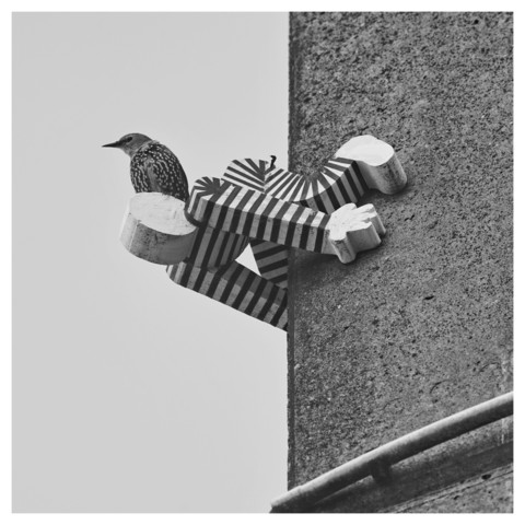 Schwarz-Weiß-Foto, quadratisch. Zu sehen ist eine Hausecke, daran klebt ein kleines, schwarz-weiß-gestreiftes Männchen aus Styropor (Streetart by Styro). Es hält sich an der Ecke fest und schaut nach unten. Auf seinen Kopf hat sich ein Star gesetzt, der die Gegend beobachtet.