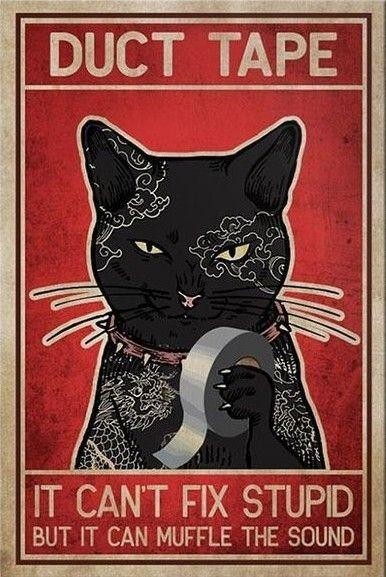 Painting in the style of a vintage ad.

Over a red backgroud, a somehow mean looking black cat's head. 

In a paw, the cat holds a coil of silvery duct tape.

The "ad's" text reads:

"Duct Tape - It can't fix stupid, but it can muffle the sound"