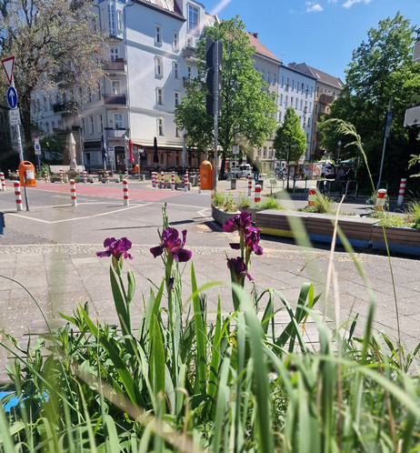 Straßenszene in einem umgestalteten Stadtbereich mit Sitzbänken, Pflanzkästen, Blumen und Verkehrspollern; Menschen nutzen die Sitzgelegenheiten bei sonnigem Wetter, im Hintergrund Wohnhäuser und Bäume.