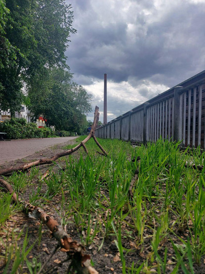 Niedrige Perspektive auf einen Weg mit Gras und Ästen im Vordergrund, einem Zaun rechts und einem hohen Schornstein in der Bildmitte unter bewölktem Himmel.


