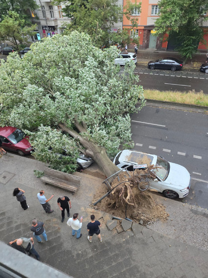 Umgestürzter Baum auf einem Gehweg in einer Berliner Straße, der mehrere geparkte Autos beschädigt hat; ein weißes Auto ist stark eingedrückt, Menschen stehen um die Unfallstelle, die freigelegten Wurzeln ragen über den Gehweg.

