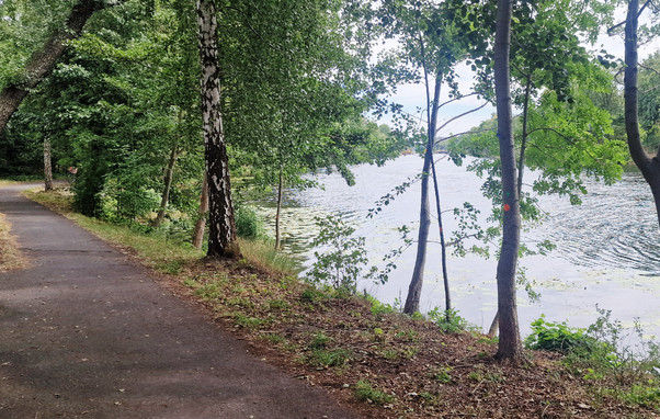 Asphaltierter Uferweg entlang des Berlin-Spandauer Schifffahrtskanals, umgeben von Bäumen und dichter Vegetation, mit Blick auf das Wasser.

