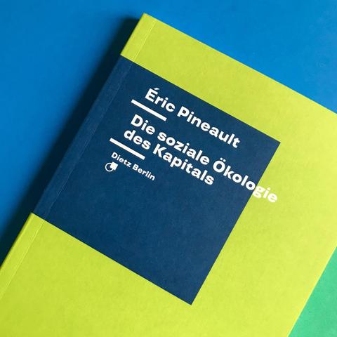 Cover des Buches von Éric Pineault: »Die soziale Ökologie des Kapitals«
