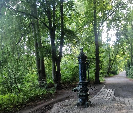 Straßenpumpe im Volkspark Humboldthain