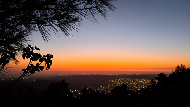 Ein Blick auf eine tiefer gelegene Ebene mit einem Abendhorizont in warmen Orangetönen. Links ragt eine Kiefer ins Bild. In der Ebene sind Lichter zu sehen.
