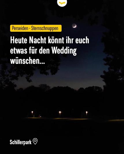 Nächtliche Parkszene im Schillerpark mit Bäumen, beleuchteten Laternen und schmaler Mondsichel am Himmel, darüber Textankündigung zu Perseiden-Sternschnuppen.

