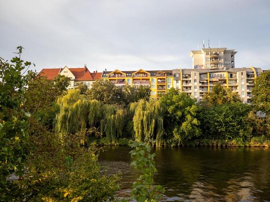 Wohngebäude am Ufer der Spree, teilweise von dichten Bäumen und Weiden verdeckt, bei warmem Abendlicht.

