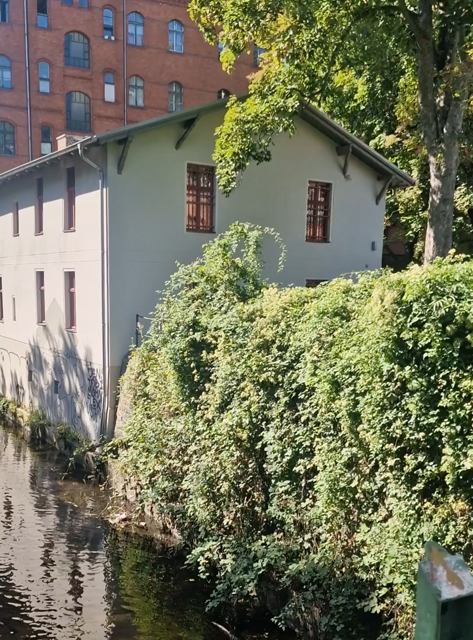 Video von der Panke an der Badstraße
