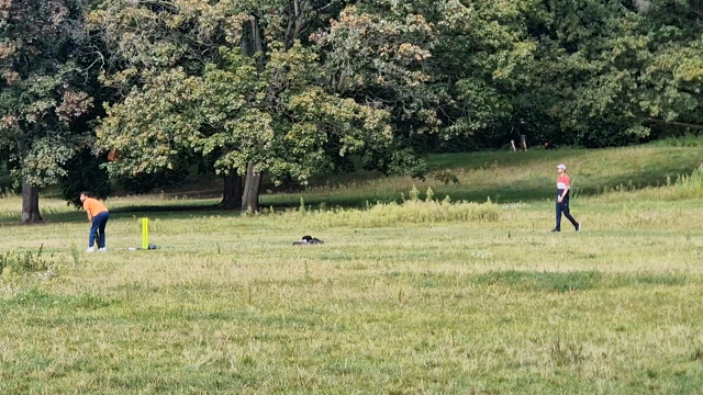 Video von Cricket Spielern im Park