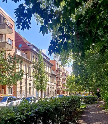 Straßenszene in Berlin-Wedding mit Wohnhäusern, parkenden Autos und Bäumen, die den Gehweg beschatten.

