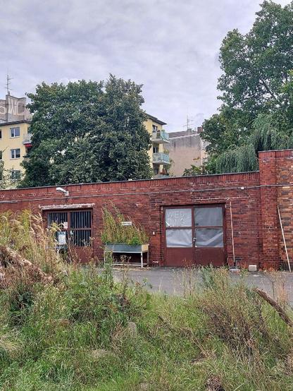 Backsteinbau mit vergittertem Fenster und verschlossener Tür, auf der „Wedding“ steht, davor wuchernde Pflanzen und ein Hochbeet; im Hintergrund Wohnhäuser und Bäume.

