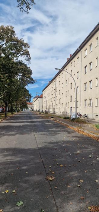 Breite Straße mit mehrstöckigen, hellen Wohnblocks auf der rechten Seite und einer Baumreihe links, Herbstlaub liegt auf dem Boden.

