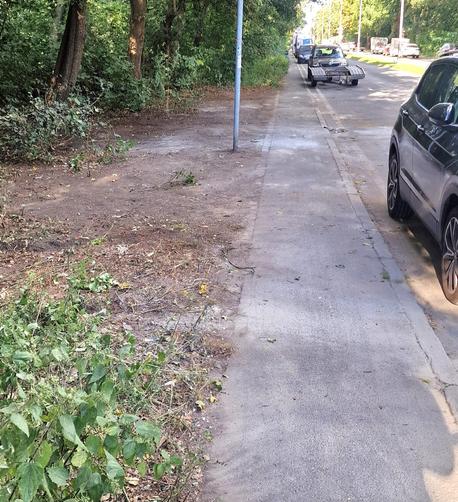 Geräumter schmaler Radweg