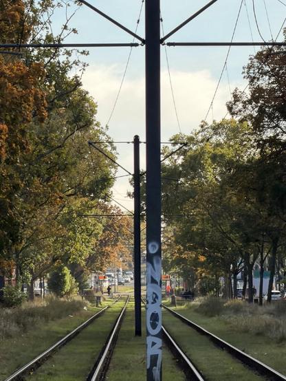 Blick entlang zweier Straßenbahnschienen, die von Bäumen gesäumt sind. In der Mitte steht ein Mast mit Oberleitungen und Graffiti. Im Hintergrund sind eine Haltestelle und einige Fußgänger zu sehen.


