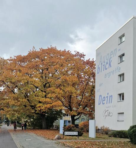 Ein Wohnhaus an der Seestraße in Berlin-Wedding mit einer Fassadenaufschrift des Zitats „Den Augenblick ergreife, der ist dein“. Davor steht ein großer Baum mit orangebraunem Herbstlaub, und zwei Personen gehen auf dem Gehweg vorbei.

